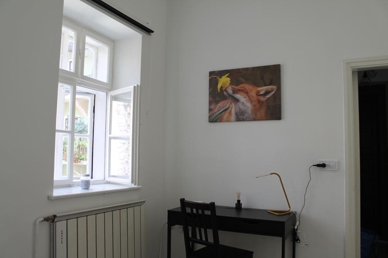 Zwinger Apartment
